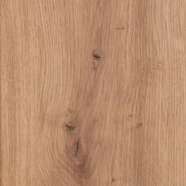 DĄB ARTISAN D4225