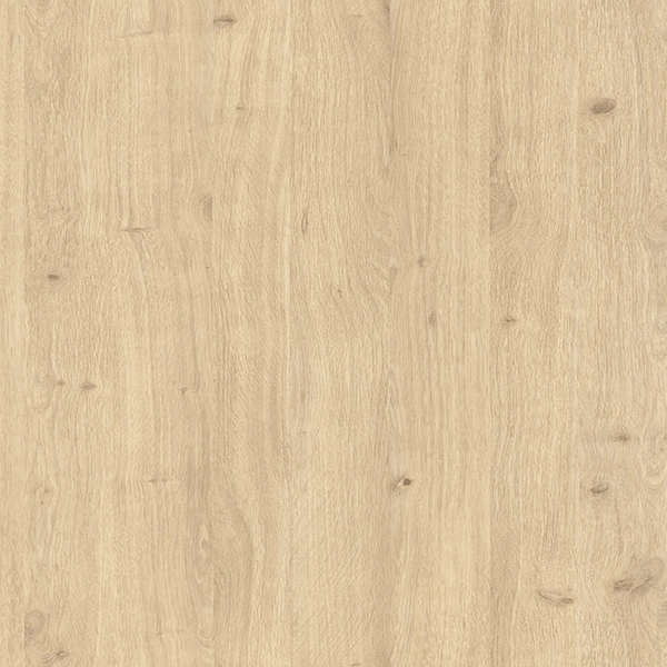 DĄB KRÓLEWSKI D2840