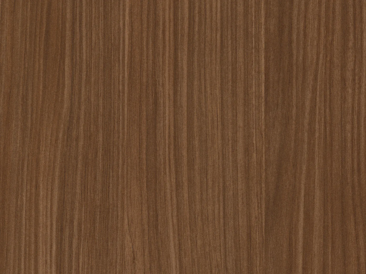 Orzech Lincoln H1714 ST19