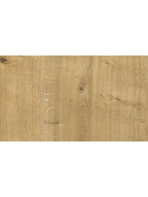 Dąb Hamilton naturalny H3303 ST10